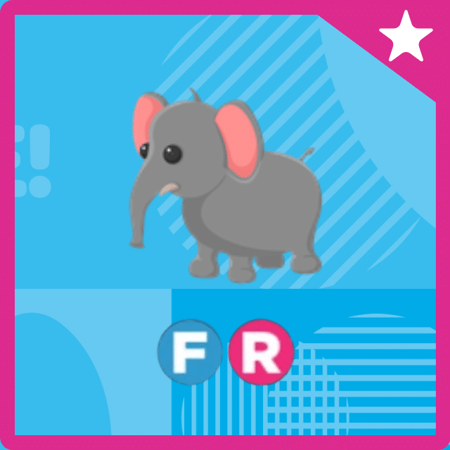 fly ride elephant