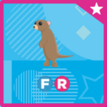 fly ride meerkat
