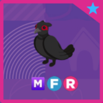 mega fly ride Black Chested Pheasant (Adopt Me Pet)