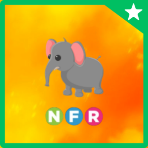 neon fly ride elephant